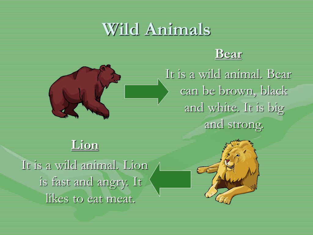 Wild Animals Bear It is a wild animal. Bear can be brown, black and